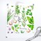 Cooking Ingredients Green Herbs Sage Garlic Rosemary Parsely Chives Oregano Basil Custom Printed Fabric by Spoonflower Various Fabrics by the Yard or Fat Quarter